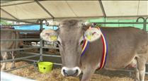 La fira del bestiar d'Ordino tanca amb 4.000 visitants